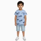 Boys Light Blue Cotton Round Neck Casual Half Sleeve T-Shirt, Light Blue, small