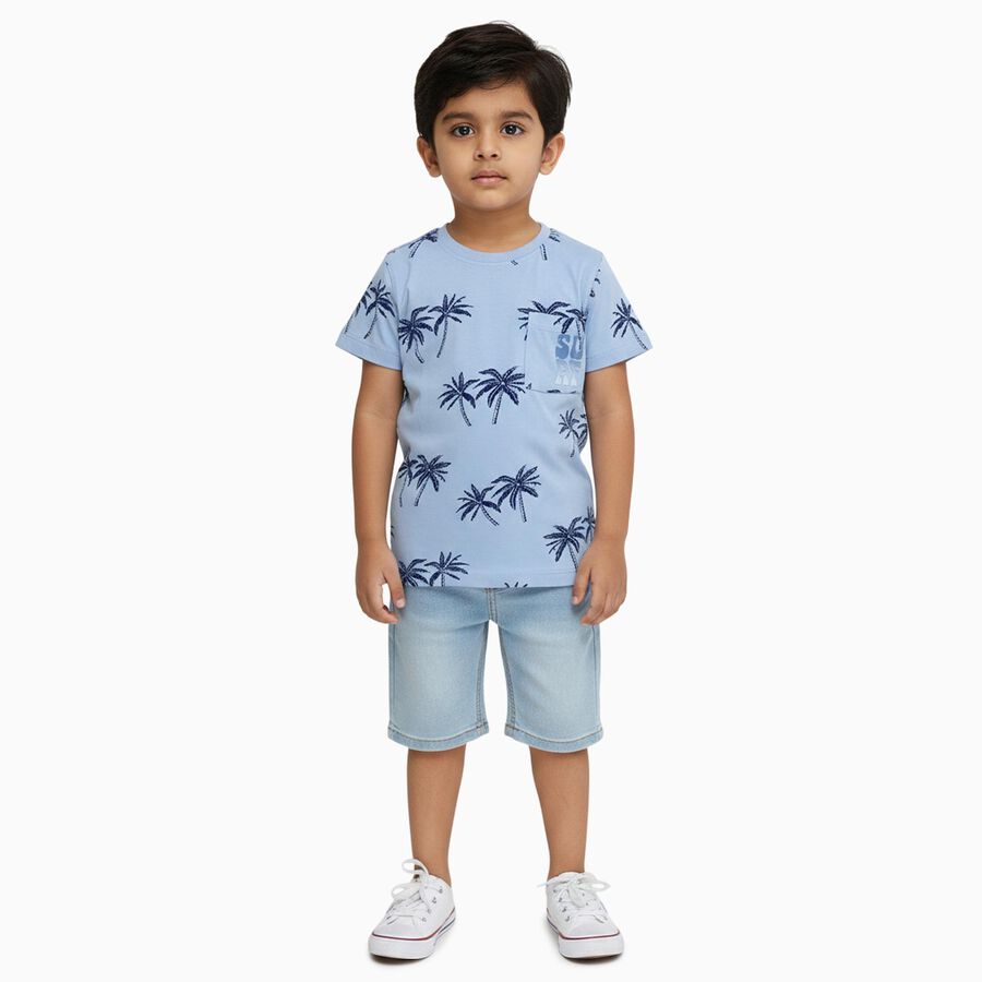 Boys Light Blue Cotton Round Neck Casual Half Sleeve T-Shirt, Light Blue, large