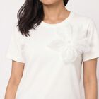 Women's White Round Neck Regular T-Shirt, White, small