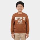 Boys Brown Crew Neck Pullover Sweatshirt, भूरा, small