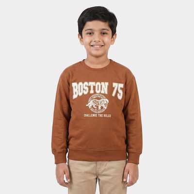 Boys Brown Crew Neck Pullover Sweatshirt