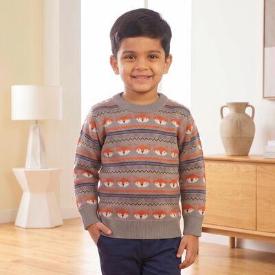 Boys Grey Crew Neck Printed Pullover
