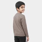 Boys Grey Round Neck Regular Boys T-Shirt, Light Grey, small