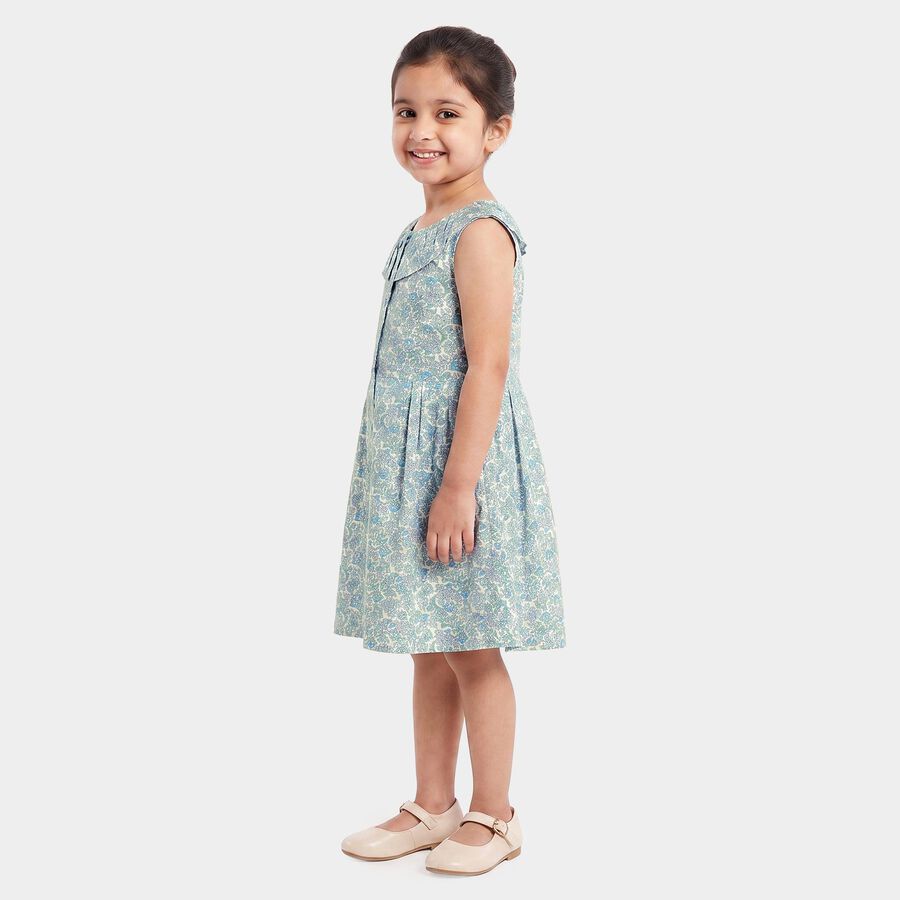 Girls' Light Blue Floral Printed Fit and Flare Frock, Light Blue, large