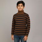 Boys Dark Brown and Navy Blue Turtleneck Casual Pullover, Brown, small image number null