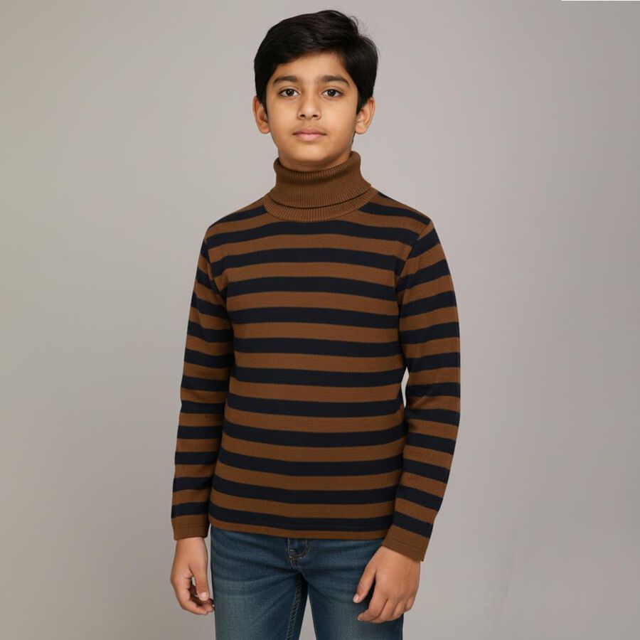 Boys Dark Brown and Navy Blue Turtleneck Casual Pullover, Brown, large image number null