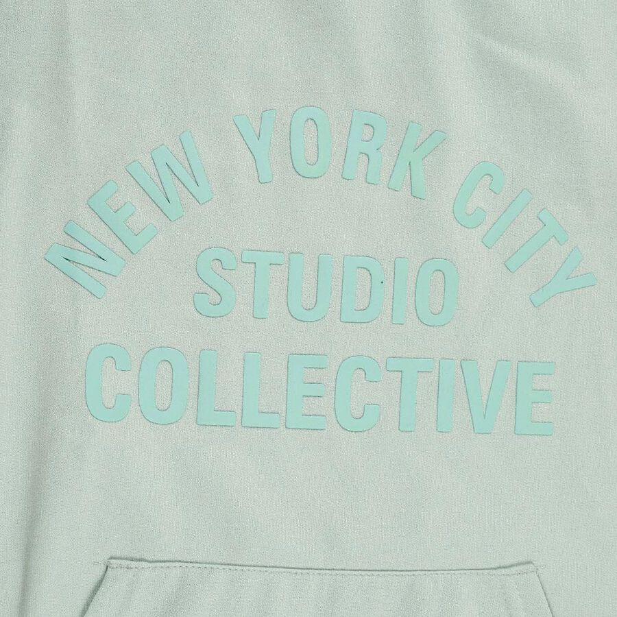 Boys Light Sage Green Hooded Neck Casual Sweatshirt, Light Green, large image number null