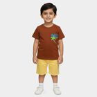 Boys Brown Round Neck Casual Half Sleeve T-Shirt, Brown, small