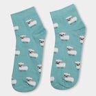 Ladies' Socks (Pack of 3), चुनिंदा, small image number null