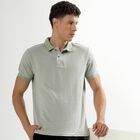 Men's Collared Half Sleeves T-Shirt , Light Green, small image number null