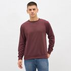 Men's Deep Maroon Crew Neck Casual Sweatshirt, Pink, small image number null