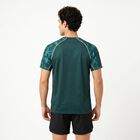 Men's Dark Green Round Neck Raglan Drifit T-Shirt, गहरा हरा, small