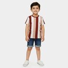 Boys' Maroon Round Neck Vertical Striped T-Shirt, Maroon, small