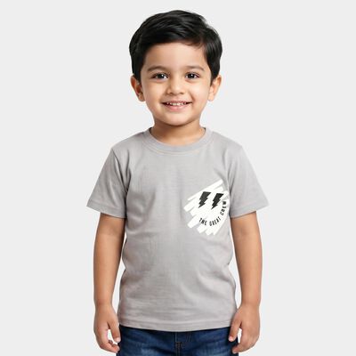 Boys Grey Crew Neck Regular Boys T-Shirt