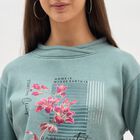 Women's Light Sage Green Crew Neck Casual Sweatshirt, हल्का हरा, small image number null