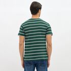 Men's Deep Forest Green Round Neck Striped T-Shirt, Dark Green, small image number null