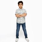 Boys Light Sage Green and White Cotton Half Sleeve Classic Collar Casual Shirt, Light Green, small image number null