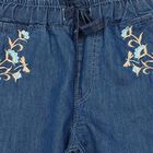 Girls' Blue Jogger Fit Embroidered Jeans, Light Blue, small