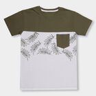 Boys' 100% Cotton Half Sleeves T-Shirt, Olive, small image number null