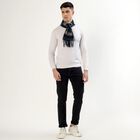 Men's Navy Blue and Grey Checkered Muffler, Light Grey, small image number null