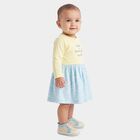 Infants' Yellow Fit and Flare Embroidered Long Sleeve Frock, पीला, small
