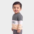 Infants' Grey Cotton Crew Neck Pullover Sweatshirt, Dark Grey, small