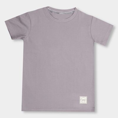 Boys' Light Grey Round Neck Half Sleeves T-Shirt