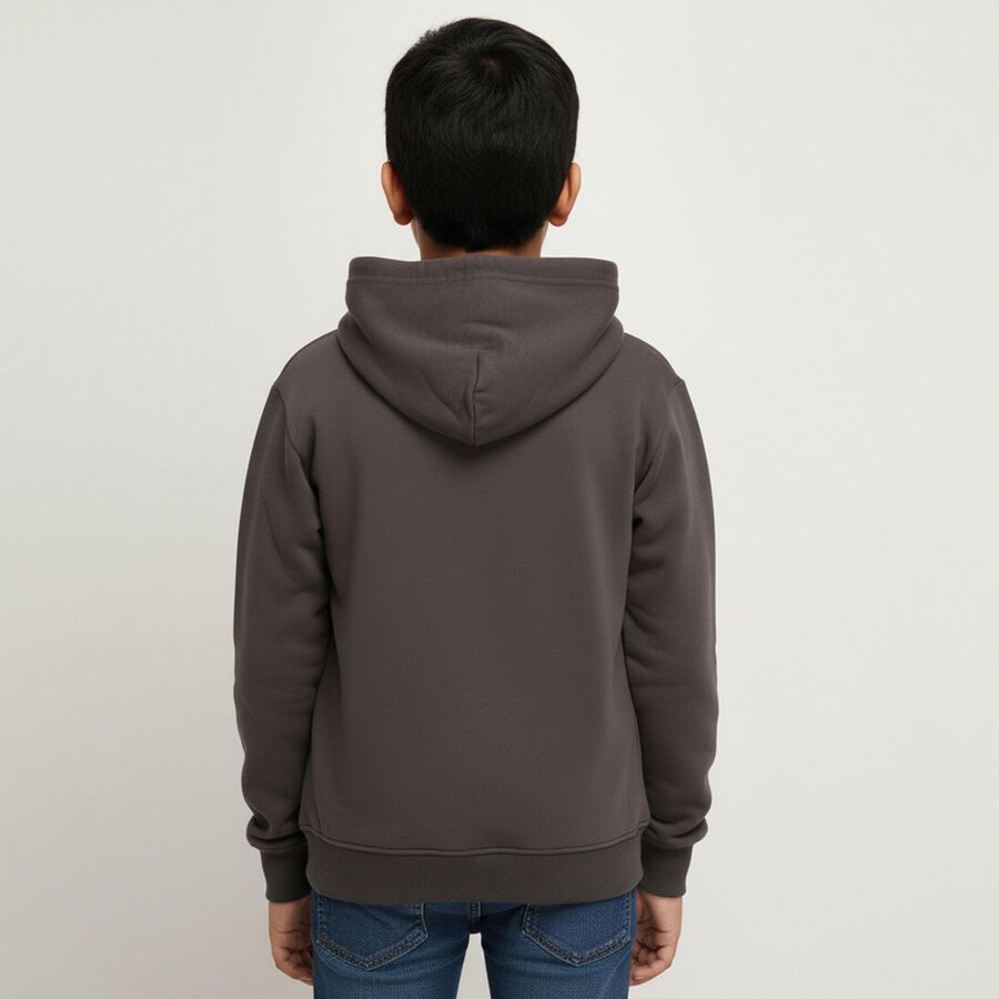 Boys Light Grey Crew Neck Casual Sweatshirt, हल्का ग्रे, large image number null