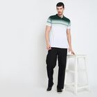Men's Collared Half Sleeves T-Shirt, Dark Green, small