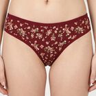 Women's Brown Regular Fit Floral Printed Panty, Brown, small