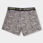 Boys Muted Grey Regular Fit Printed Briefs, हल्का ग्रे, small