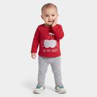 Infants Red Cotton Round Neck Regular T-Shirt, Red, small