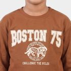 Boys Brown Crew Neck Pullover Sweatshirt, भूरा, small