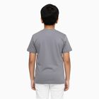 Boys Light Grey Round Neck Casual T-Shirt, Light Grey, small image number null