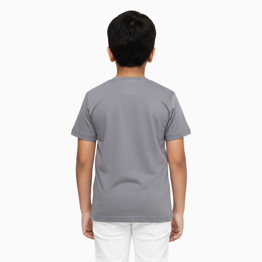 Boys Light Grey Round Neck Casual T-Shirt, Light Grey, large image number null