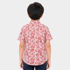Boys' Red Cotton Short Sleeves Spread Collar Regular Fit Shirt, Red, small