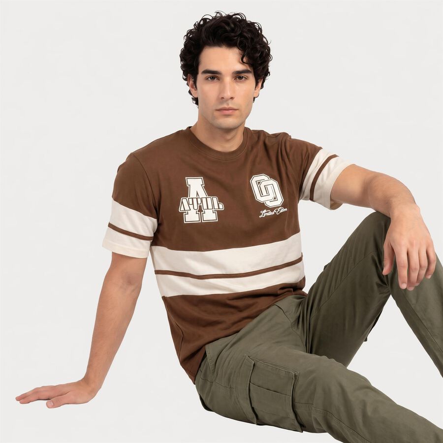 Men's Brown Round Neck Regular T-Shirt, Brown, large