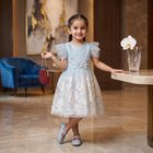 Girls' Light Blue Fit and Flare Floral Embroidered Party Wear Frock, Light Blue, small