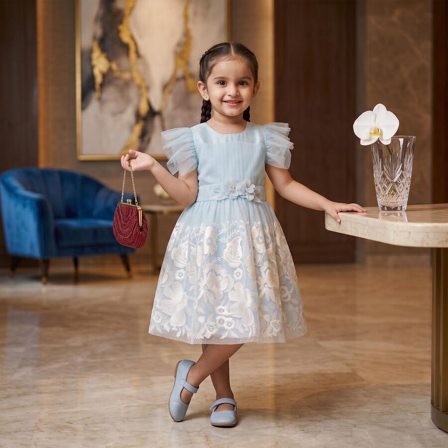 Girls' Light Blue Fit and Flare Floral Embroidered Party Wear Frock, Light Blue, large