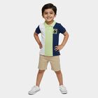 Boys Navy Blue Cotton Polo Collar Preppy T-Shirt, नेवी ब्लू, small