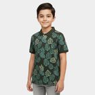 Boys' Olive Cotton Round Neck Graphic Printed Half Sleeve T-Shirt, Olive, small