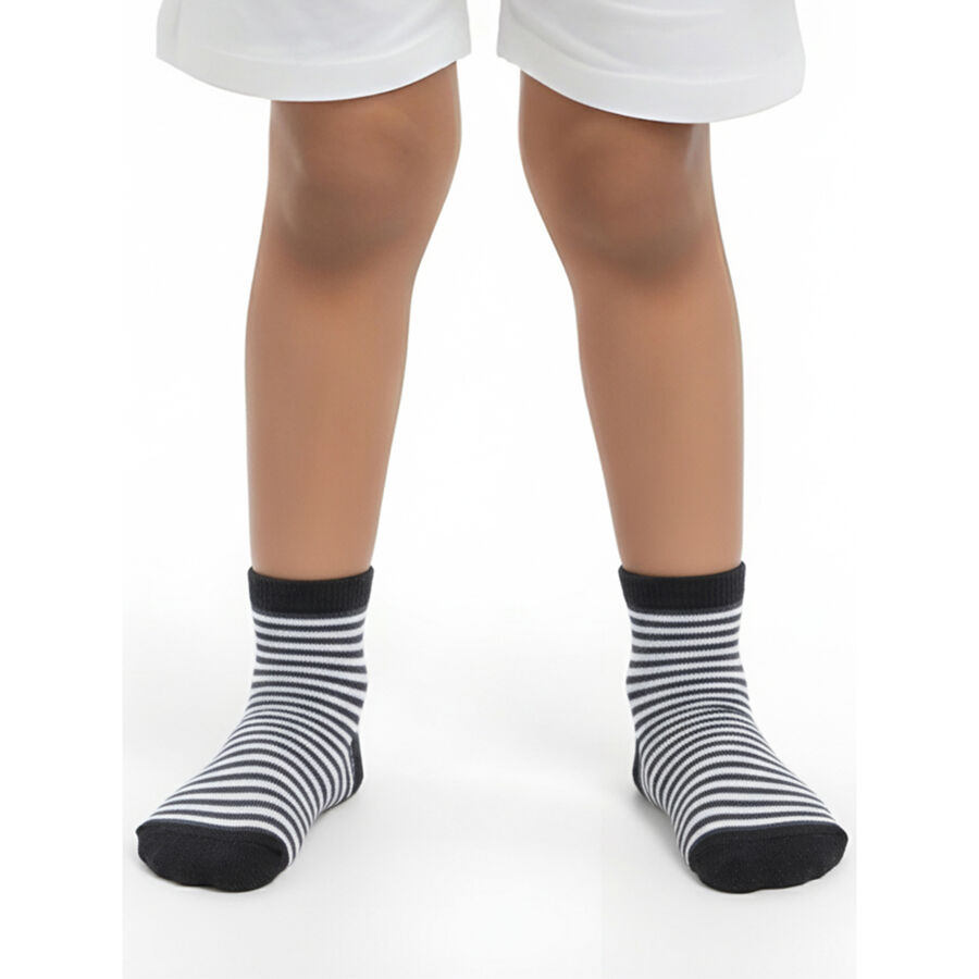 Boys' Dark Charcoal Regular Fit Ankle-Length Dinosaur and Striped Socks Pack of 2, Navy Blue, large image number null
