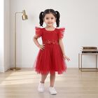 Girls' Fuchsia Fit and Flare Glitter Net Party Wear Frock, रानी (फ्यूशिया), small