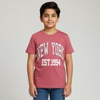 Boys Dusty Rose Crew Neck Casual T-Shirt, Pink, small image number null