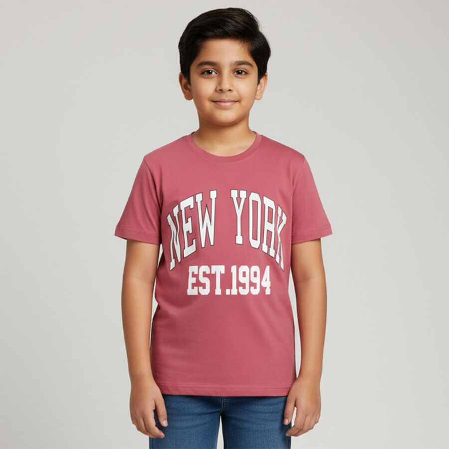 Boys Dusty Rose Crew Neck Casual T-Shirt, Pink, large image number null