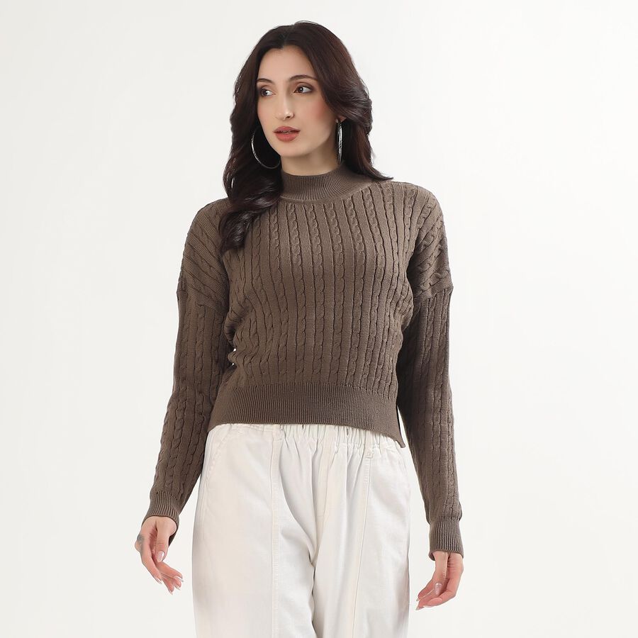 Women's Muted Beige Crew Neck Casual Pullover, गहरा पीला, large image number null