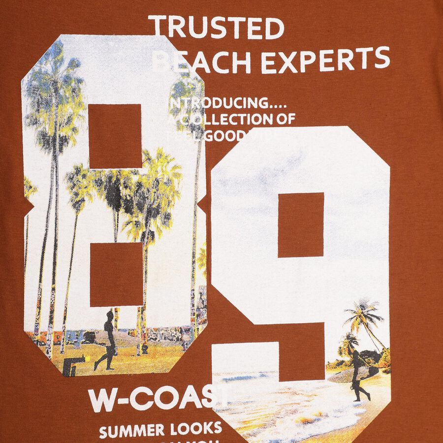 Boys' Half Sleeves T-Shirt , Brown, large image number null