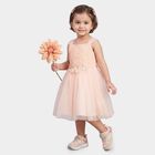 Girls' Light Pink Fit and Flare Floral Applique Party Wear Frock, Light Pink, small