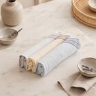 Men's Aqua Striped Pack of 3 Handkerchief, Aqua, small
