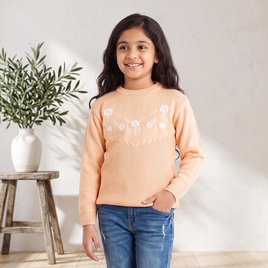Girls' Light Pink Crew Neck Embroidered Pullover, Light Pink, large